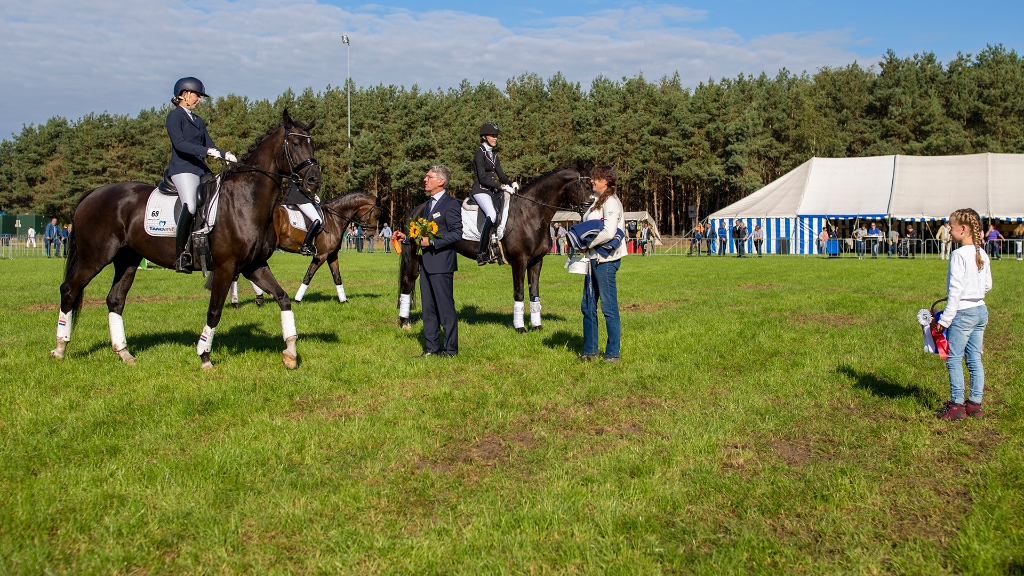 Lierop Fokpaardendag 2016 (19).jpg - Lierop Fokpaardendag 2016